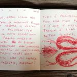 20190730 RUGGIERO 7