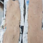 20190803 LEPORE 6