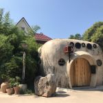 20190730 RUGGIERO 6