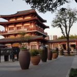 20190810 Lepore 4 Oggi Siamo Stati Alla Galleria A Xi An