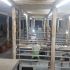 FUPING GIANCARLO LEPORE 3