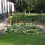 Roberta Barlati - Boleslawiec 2018 - Giardino Del Bursa